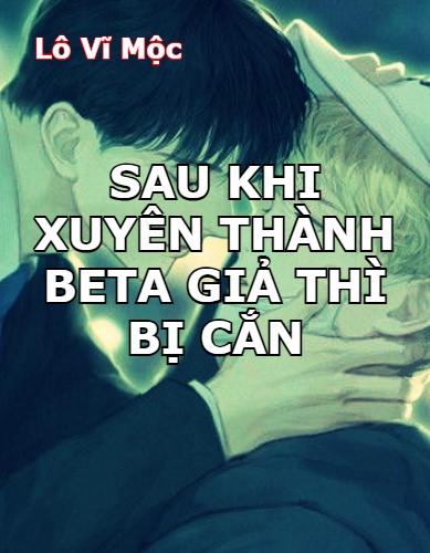 sau-khi-xuyen-thanh-beta-gia-thi-bi-can