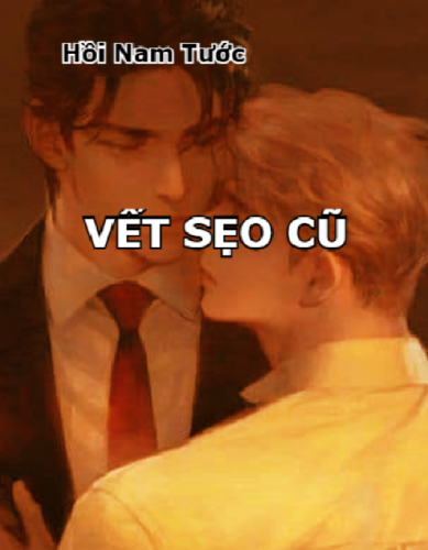 vet-seo-cu